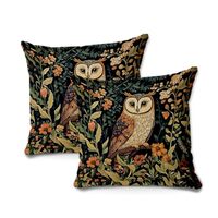 BQXH 2 Pcs Vintage Owl Throw Pillow Covers 18x18 Inch, Mystical Nature Art Throw Pillows Square Cush