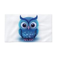 AMREWQYL Blue owl(1ï¼‰ Printed Face Wash Cloth Towel 27.5x16in