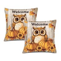 IsegMind Fall Owl Pillow Covers 22x22 Inch Set of 2 Autumn Sunflower Decor Thanksgiving Outdoor Cush