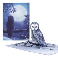 Lovepop Winter Pop-Up Card for Her and Him - 3D Greeting Cards for Boys, Girls, Men, Women - Snowy O