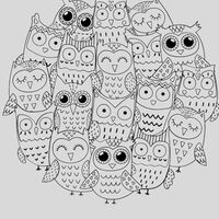 Owls