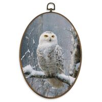 XBBMGG Winter Owl Wall Art Decor, Rustic Winter Bird Oval Wall Hanging Decor, Retro Cottagecore Farm