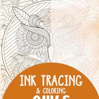 Owls Ink Tracing Coloring Book for Adults: 30 Unique Illustrations to Ink and Color