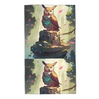 WHJDPP Owl on The Stone Picture Towel Towels 27.5x16in Skin-Friendly Absorbent Fluffy and Soft for B