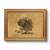 Vintage Owl Drawing Gold Framed Wall Art 12x16, Neutral Brown Sepia Animal Sketch Canvas Print, Clas