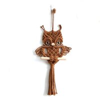 Macrame Owl Wall Hanging Kit for Kids Bedroom, Handmade Hanging Tapestry Art Home Decor Woven Boho O