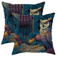 Autumn Owl Throw Pillow Covers Set of 2, Colorful Bird Design Cushion Cases, Outdoor Decorative Squa
