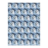 Snowy Owl Eyes Printing Crystal Stickers for Crafts Cute Craft Supplies for Women Men for Laptop Ska