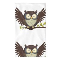 YYHHAOFA Sleeping owl Prints Towel Towels 27.5x16in Skin-Friendly Absorbent Fluffy and Soft for Bath