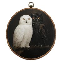 DOFQZ Vintage Black and White Owl Round Wall Art Decor, Dark Academia Gothic Owl Framed Wall Art, Mo