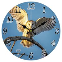 CHGCRAFT Barn Owl Wall Clock 12 Inch Sky Clock Round Decorative Clocks for Bedroom Living Room Kitch