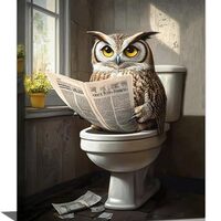 Owl Bathroom Wall Art, Funny Owl Toilet Pictures Wall Decor, Bird Canvas Prints, Animal Painting, Fr