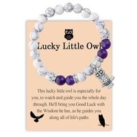 BLEOUK Lucky Owl Charm Bracelet Owl Gifts For Lovers Inspirational Motivation Good Luck Owls Jewelry
