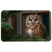 Print Mouse Pad Owl Sitting by The Window Rectangular Style Anti-Slip Rubber Mousepad Gaming Office 