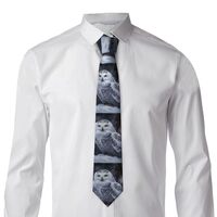 FodPand Classic Men's Silk Tie Arctic Owl Necktie Skinny Neck Ties Formal Neckties for Wedding/