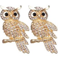 Rhinestone Owl Lapel Pin 2 Piece Set Brooch Pin Accessories Gifts