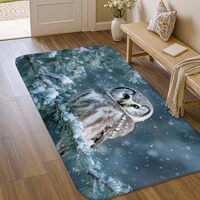 Owl Area Rug, Winter Nature Pine Branch Snow Winter Blue Non-Slip Indoor Doormat Accents Rug Non She
