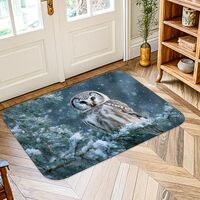 Owl Area Rug, Winter Nature Pine Branch Snow Winter Blue Non-Slip Doormat Rectangle Print Accents Ru