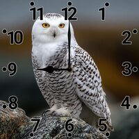 Lefangovs Snowy Owl Clock 10inch Wooden Square Wall Clock Silent Non-tick Battery Powered for Farmho