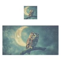 AIXIWAWA Cotton Bath Towels Set Owl and Moon Print 2 Pcs Soft Absorbent for Facial Body Cleaning Dry