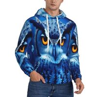 ZZZSWSYWZ Blue Owl,Men'S Lined Fleece Hoodie,Midweight Hooded Sweatshirts For Men,Classic Pullo