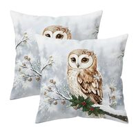 Doobicy Christmas Owl Throw Pillow Covers 18x18 Set of 2, Winter Snowy Forest Cushion Cover Double-S