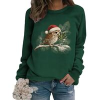 YZCX Christmas Sweatshirts for Women Cute Owl Crewneck Long Sleeve Knit Pullover Shirts 2025 Fall Wi
