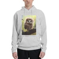 LKWSCGHM Men's Fleece Hoodie Sweatshirts Fall Pullover Hoodies Casual Sweaters Real Cute Owls W