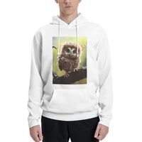 LKWSCGHM Men's Fleece Hoodie Sweatshirts Fall Pullover Hoodies Casual Sweaters Real Cute Owls W