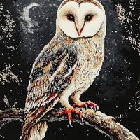 DIY Cross Stitch Kit for Beginners Owl with White and Black Feathers Perched on Branch 11CT Embroide