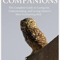 OWLS AS COMPANIONS: The Complete Guide to Caring for, Understanding, and Loving Nature’s Most 