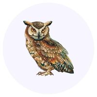 Azeeda 24 x 'Decorative Owl' Stickers - for Crafts, Scrapbooking and Labelling (SK00076291