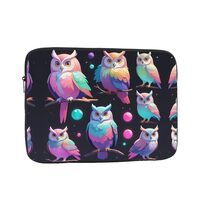WZYWHJ Aurora Owl Prints Shockproof Portable Laptop Sleeve Case 15 inch for Men and Women Business T