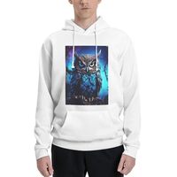 LKWSCGHM Men's Fleece Hoodie Sweatshirts Fall Pullover Hoodies Casual Sweaters Blue Owl Winter 