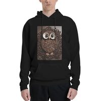 LKWSCGHM Men's Fleece Hoodie Sweatshirts Fall Pullover Hoodies Casual Sweaters Coffee bean owl