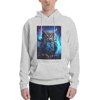 LKWSCGHM Men's Fleece Hoodie Sweatshirts Fall Pullover Hoodies Casual Sweaters Blue Owl Winter