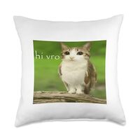 Cat Owl Funny Cursed Hello bro Brainrot Meowl hi vro Meme Throw Pillow