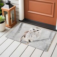 2x3 Area Rugs for Living Room, Owl On Branch Washable Rug Rectangular Indoor Carpet Non-Slip, Framho