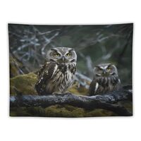 RTSEBVN Wild Owl Birds Tapestry 30x40 inch | Funny Tapestries Wall Hanging Decor Backdrop for Bedroo