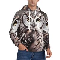 KKLWEGU Men'S Fleece Hoodies Pullover, Casual Long Sleeve Hooded Sweatshirts Owl Pullover Hoodi