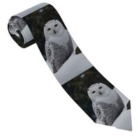 HJTRW Men's Necktie Woven Jacquard Neck Ties Snow Owl Classic Silk Tie Formal Business Tie for