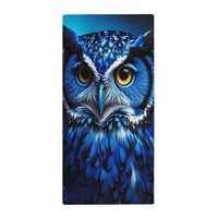 FekiLoot Blue Owl Towel Soft Comfortable Towels Lightweight Compact Coral Fleece Towel for All Occas