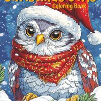Christmas Owls !: Festive and Adorable