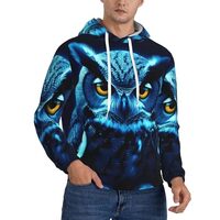 JHLMN Men's Pullover Hoodie Fleece Hooded Blue Owl Sweatshirts with Pocket Casual Long Sleeve S