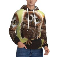 JHLMN Men's Pullover Hoodie Fleece Hooded Real Cute Owls Sweatshirts with Pocket Casual Long Sl