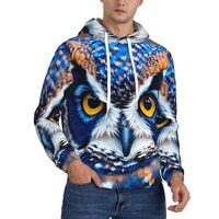 HDSKFNS Blue Owl 1 Print Men'S Hoodies Mens Fleece Hoodie Pullover Hooded Sweatshirt For Men St
