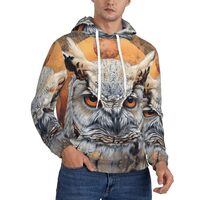 HDSKFNS Owl Beliefs Print Men'S Hoodies Mens Fleece Hoodie Pullover Hooded Sweatshirt For Men S