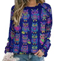 DUMIERTKL Colorful Owl Pattern Sweatshirt for Women Men, Casual Crew Neck Sweatshirt, Loose Long Sle