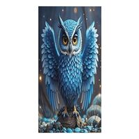 FekiLoot Blue Owl Beach Towel Sand Free Quick Dry Travel Towels Extra Large Big Pool Swim Towels Sof