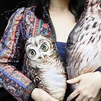 chouette Hibou coussin peluche Cadeau de Naissance